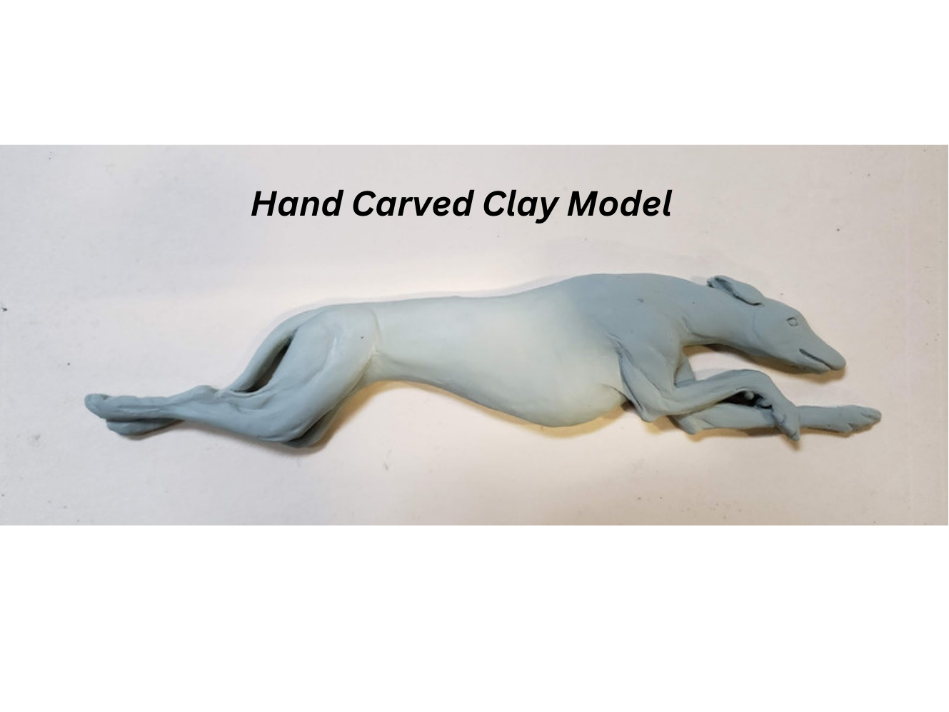 
                  
                    Greyhound -  Free Shipping
                  
                