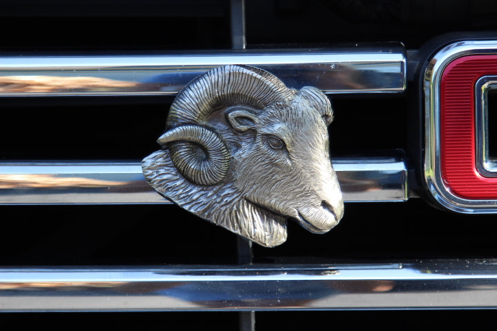Ram -  Free Shipping