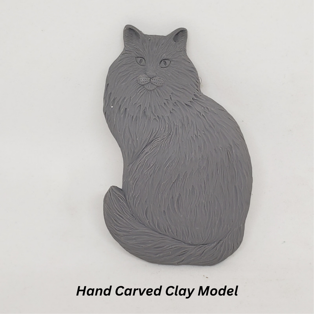 
                  
                    Maine Coon Cat -  Free Shipping
                  
                