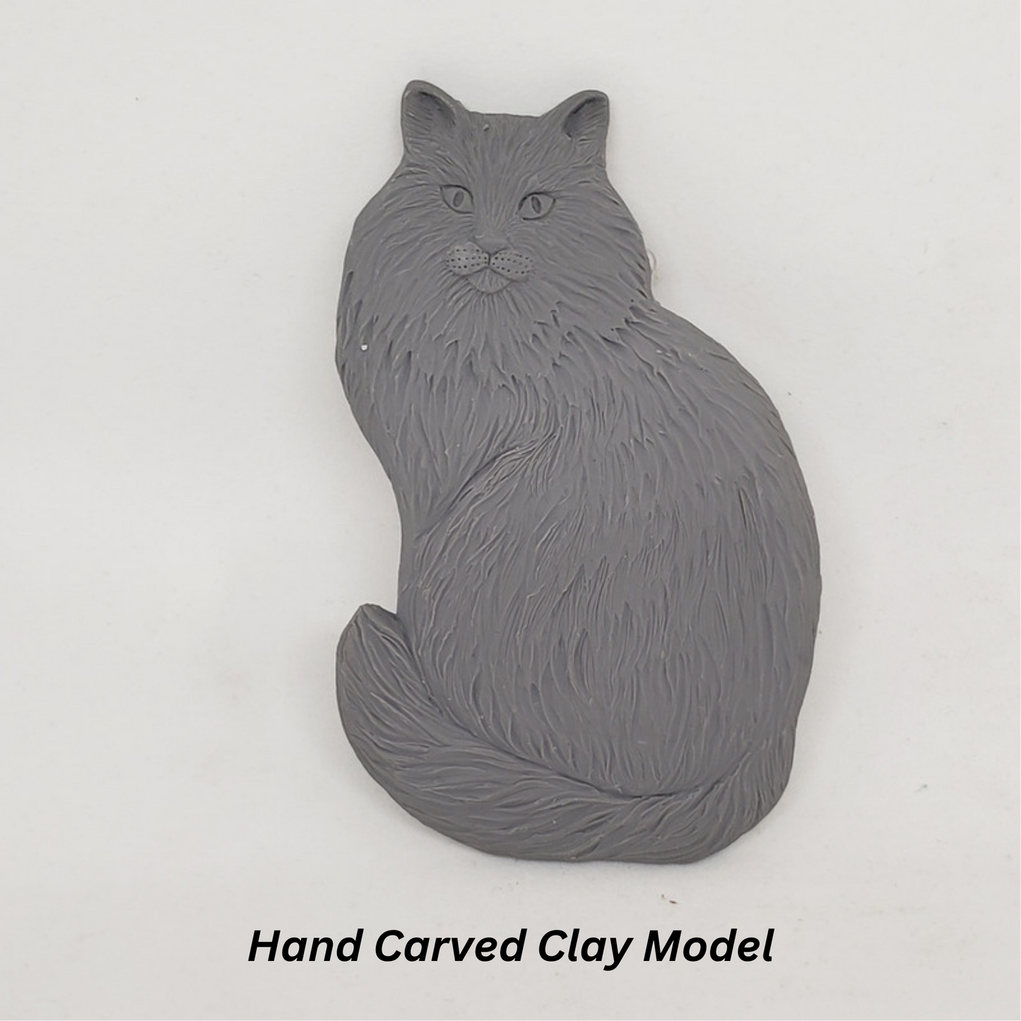 
                  
                    Maine Coon Cat -  Free Shipping
                  
                