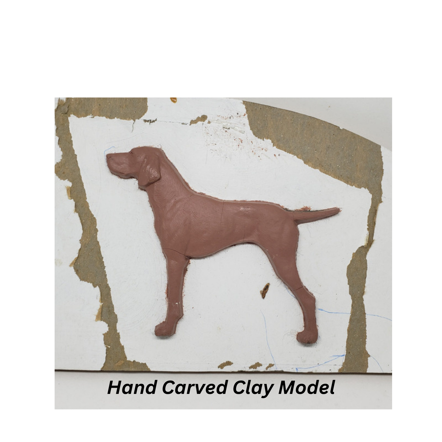 
                  
                    Pointer -  Free Shipping
                  
                