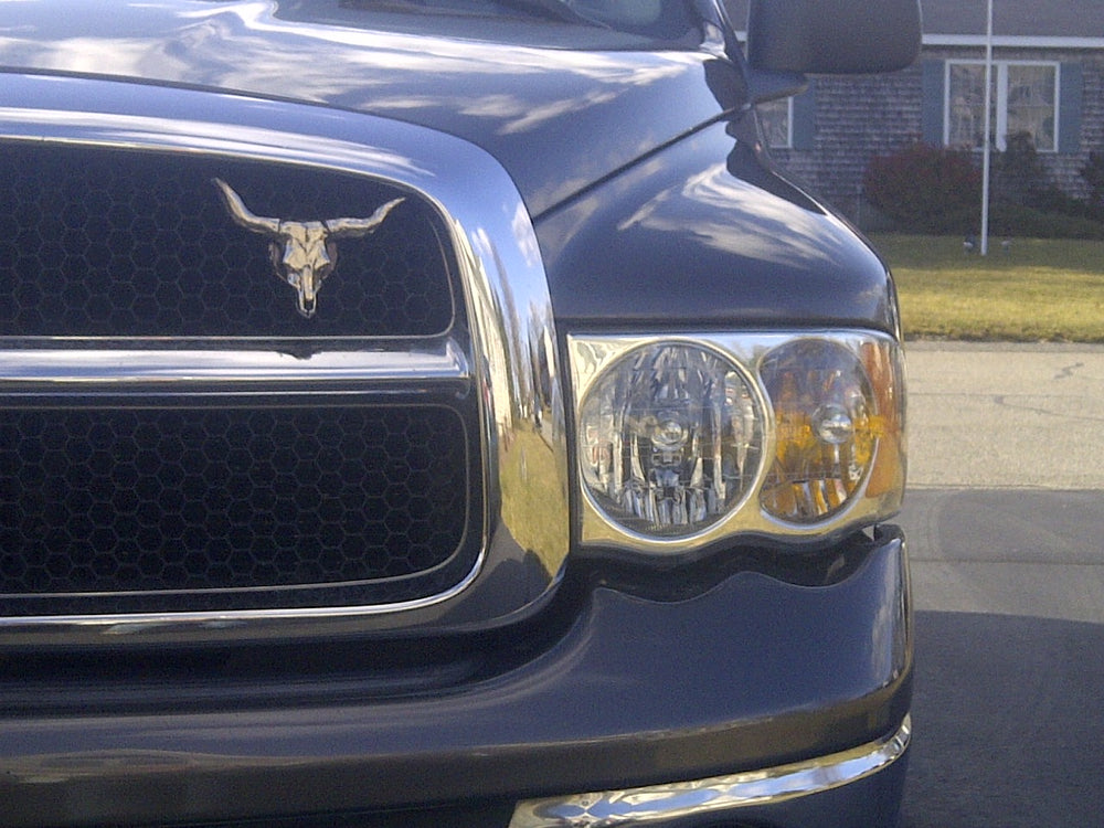 Longhorn Skull -  Free Shipping