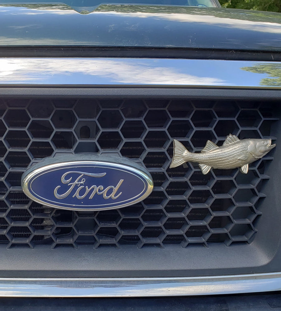 
                  
                    Striped Bass -  Free Shipping
                  
                