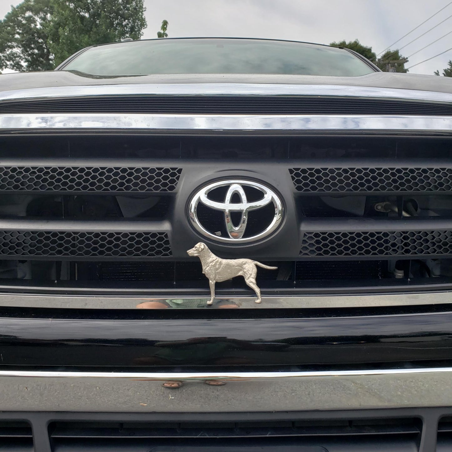 
                  
                    Labrador Retriever -  Free Shipping
                  
                