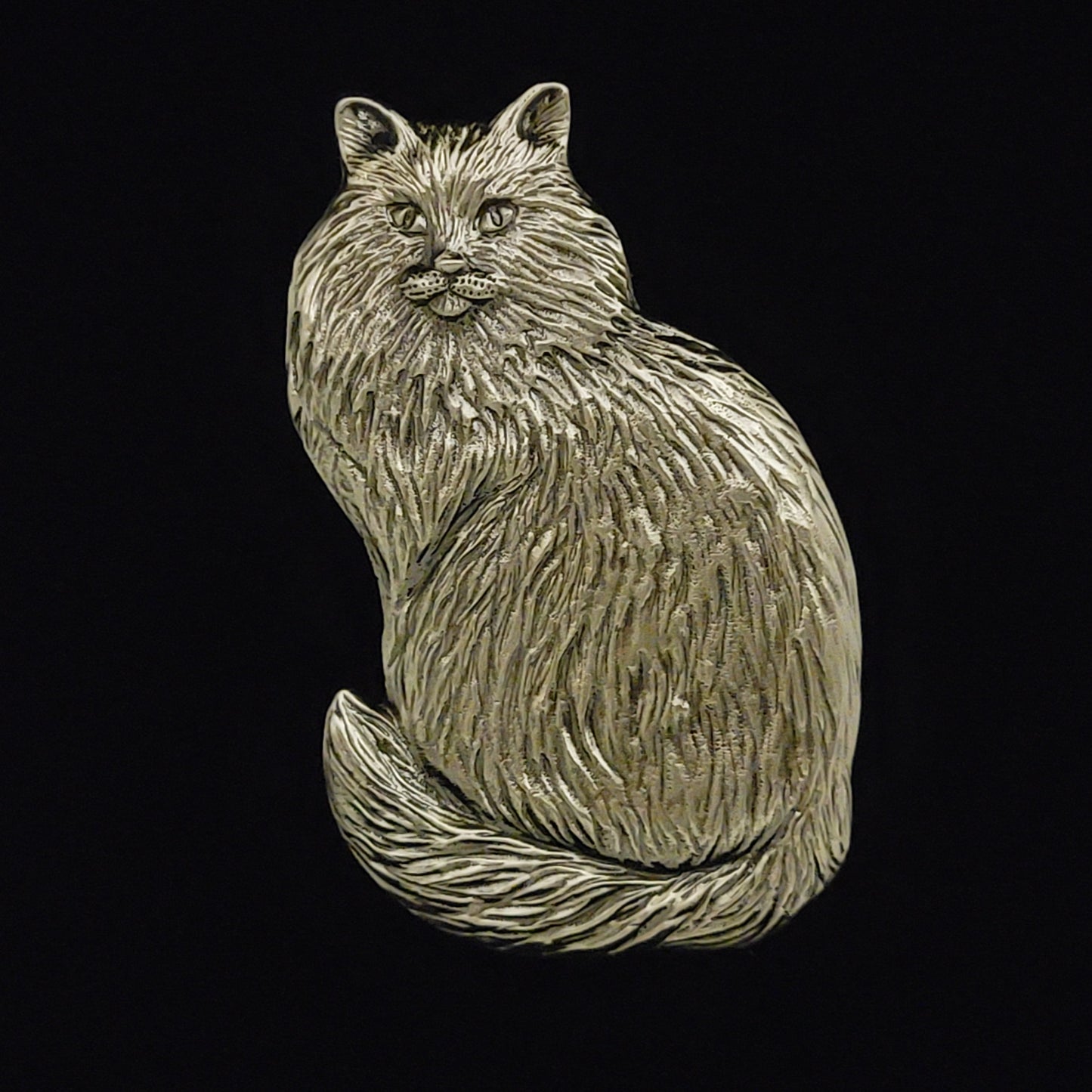 
                  
                    Maine Coon Cat -  Free Shipping
                  
                