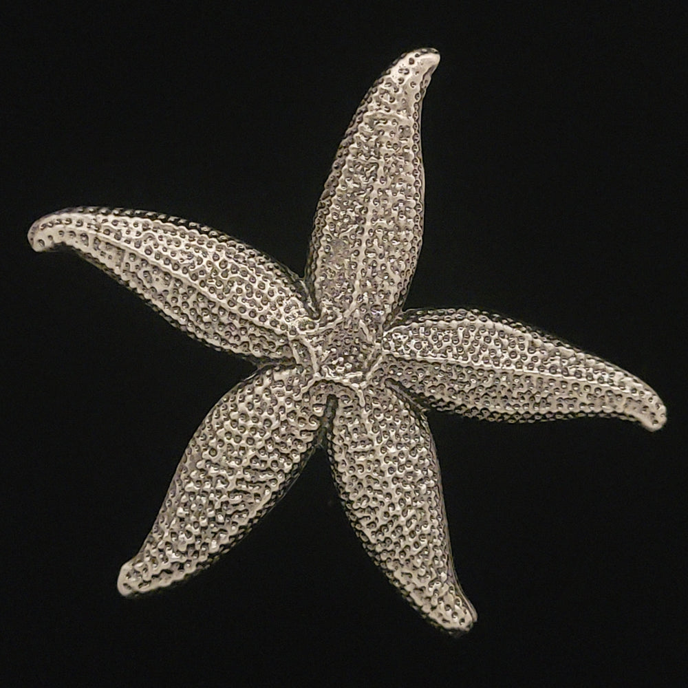 
                  
                    Starfish -  Free Shipping
                  
                