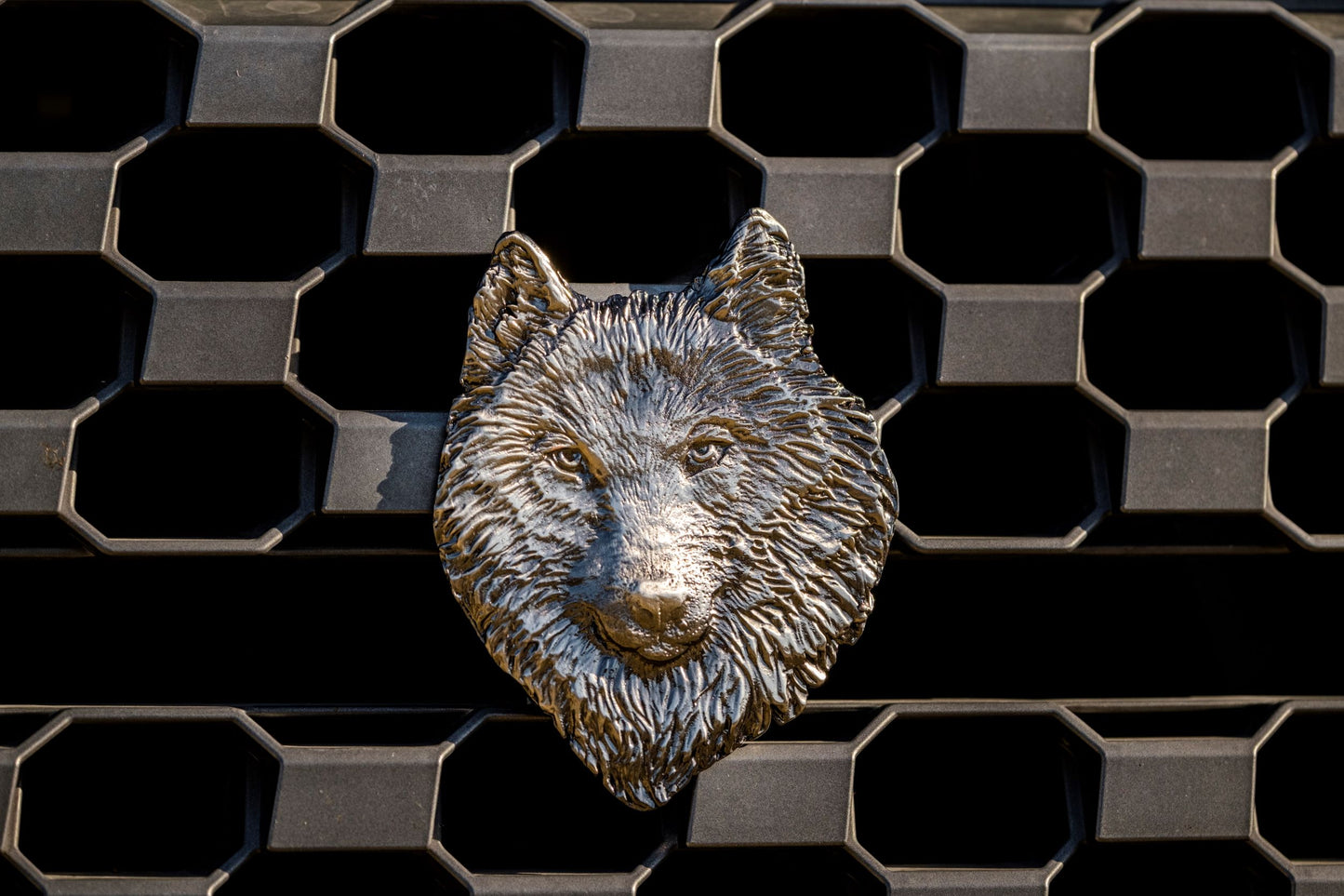 
                  
                    Wolf -  Free Shipping
                  
                