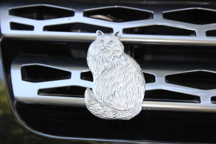 
                  
                    Maine Coon Cat -  Free Shipping
                  
                