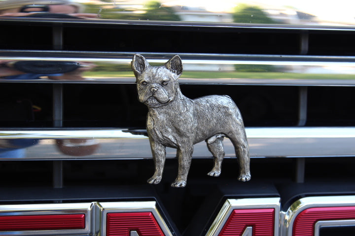 French Bulldog -  Free Shipping