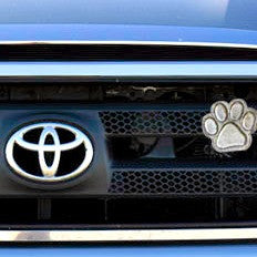 
                  
                    Paw Print -  Free Shipping
                  
                