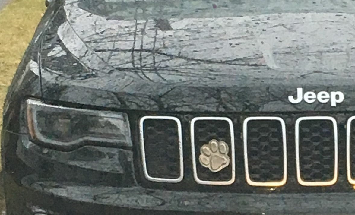 
                  
                    Paw Print -  Free Shipping
                  
                