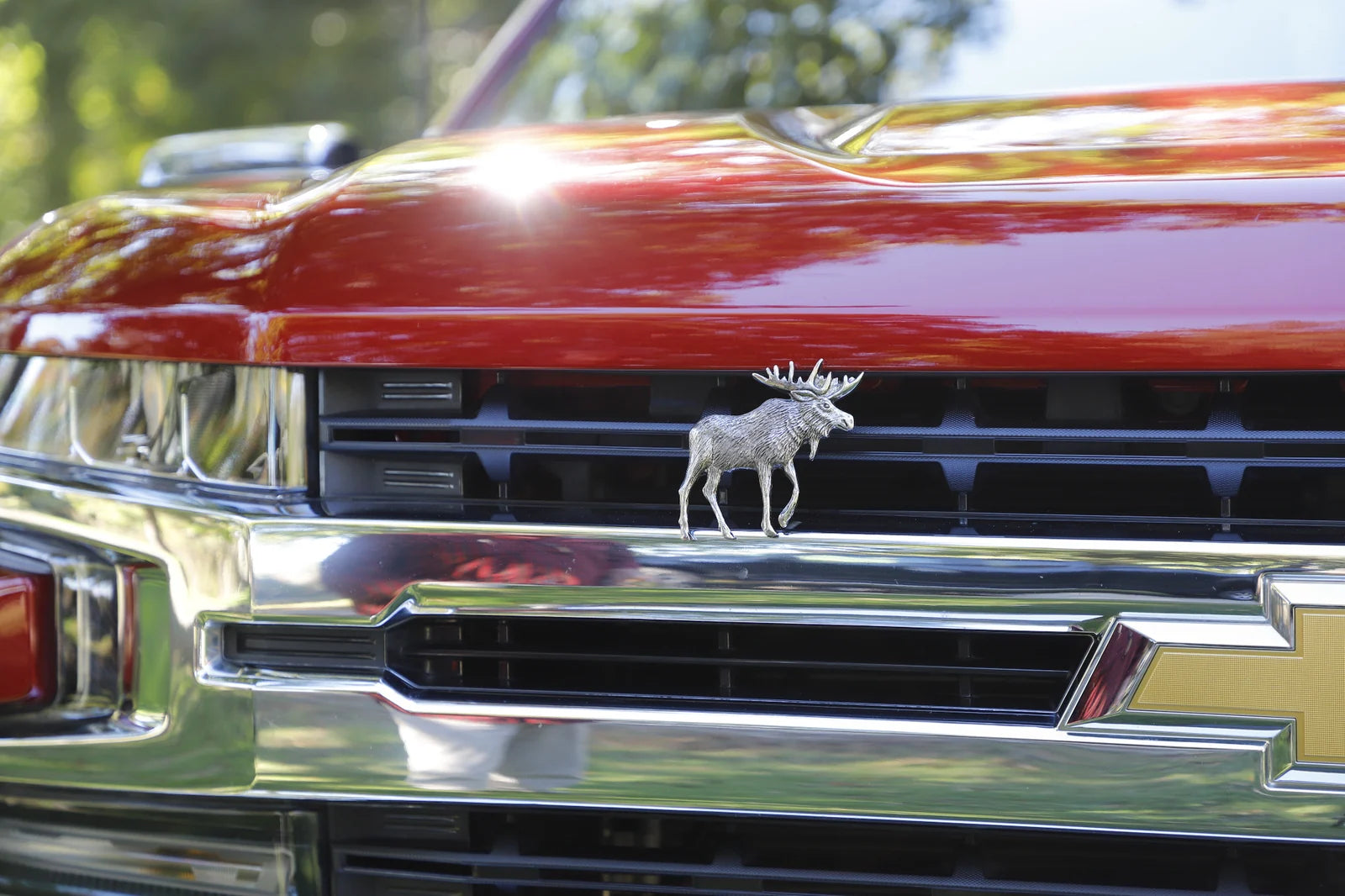 Moose Grillie on a red Chevrolet truck